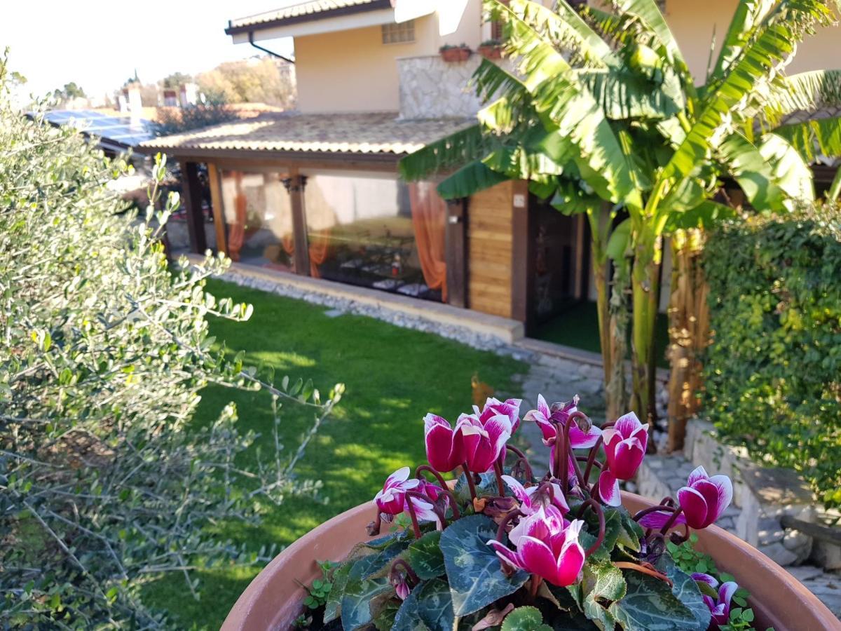 بيسكارا Favola Exclusive B&B المظهر الخارجي الصورة